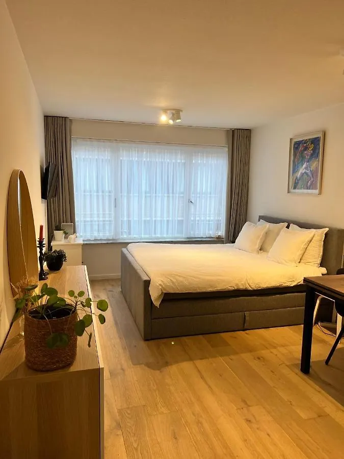 Cosy Studio Testerep , Newly Renovated Oostende Lejlighed